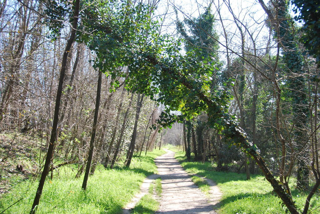 Ponte Valleceppi B&B Percorso Verde المظهر الخارجي الصورة